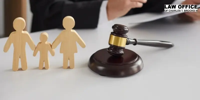 best child custody lawyer in columbia