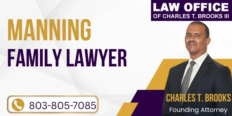 best family lawyer in manning