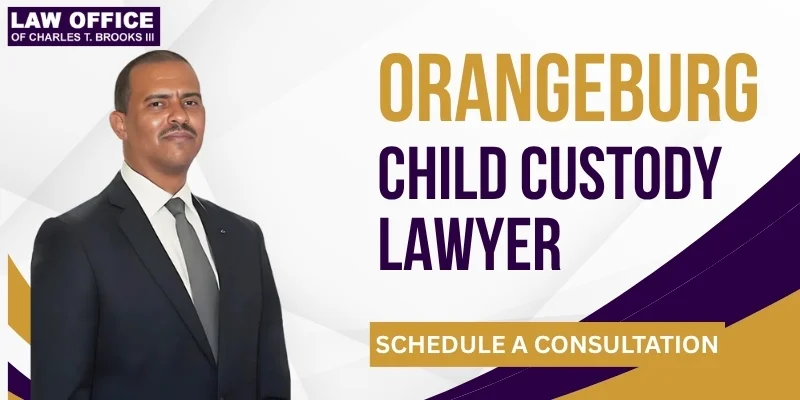 best child custody lawyer in orangeburg